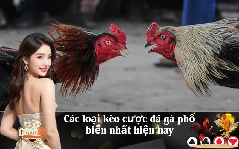Các loại kèo cược đá gà phổ biến nhất hiện nay