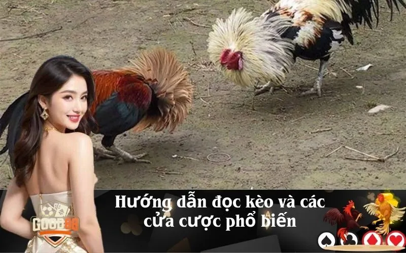 Hướng dẫn đọc kèo và các cửa cược phổ biến