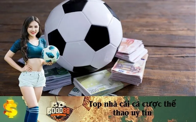 Top nhà cái cá cược thể thao uy tín