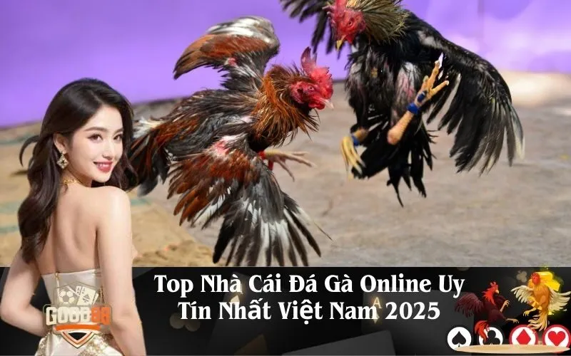 Top Nhà Cái Đá Gà Online Uy Tín Nhất Việt Nam 2025